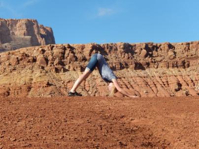 DSCN1413.jpg down dog